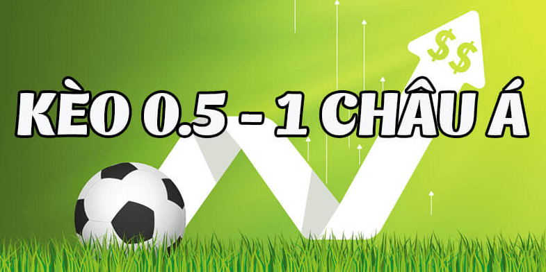 Mẹo bắt kèo 0 5 1 trong cá cược