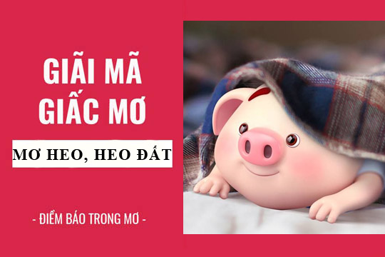 Mơ lợn đánh con gì