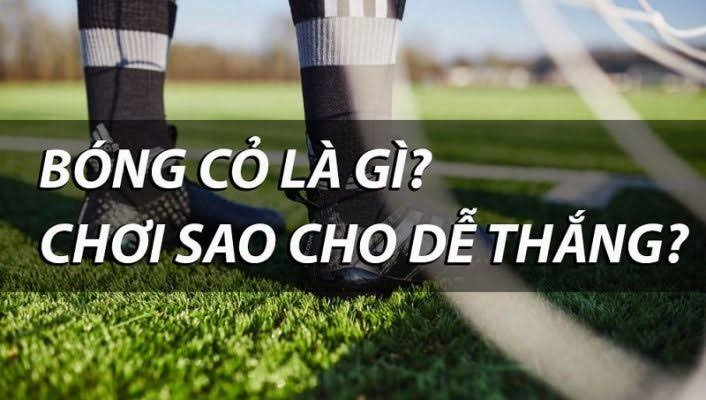 bóng cỏ