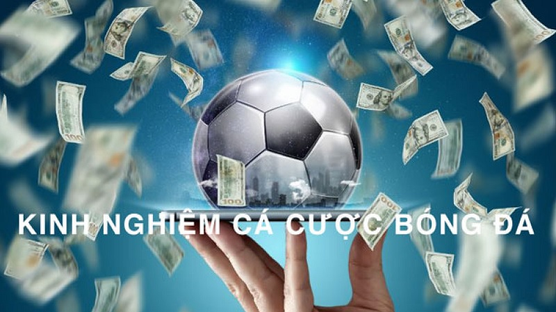 cá cược bóng cỏ